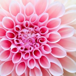 Meet your Posher, Meria